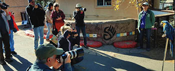 Twilight Behind the Scenes Photo Tour - Heritage Park Zoological Sanctuary