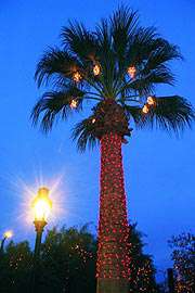 Glendale Glitters Holiday Lights