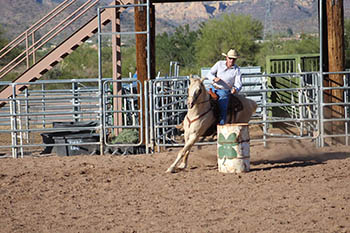 AZ0612001e008 - Apache Junction