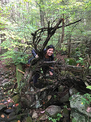 Family Yoga Hike at Stratton Brook State Park