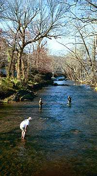 Annual Trout Tournament