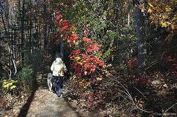 A Walk in the Woods - Spring Volksmarch