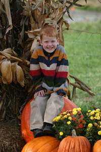 KC PUMPKIN PATCH FESTIVAL