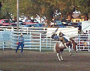 Sabetha Rodeo