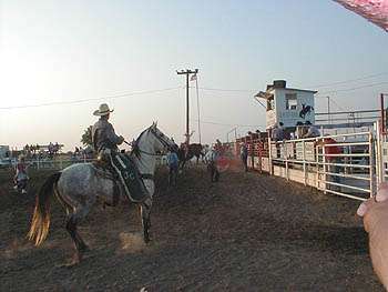 Paradise Creek Festival & Rodeo