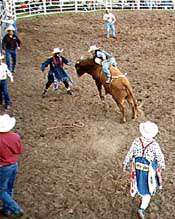 Sedgwick County Fair