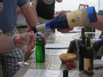 Yadkin Valley Wine Festival