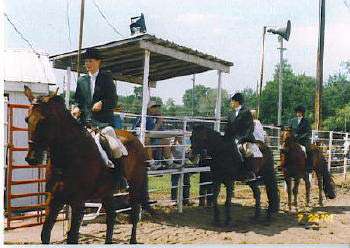 Annual Open Class Horse Show