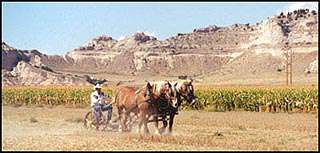 Farm and Ranch Museum Annual Harvest Festival