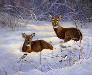 Wildlife Weekend Holiday Art Show & Sale