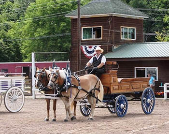 Delaware County Fair