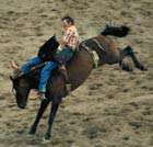 Annual Will Rogers Memorial Rodeo