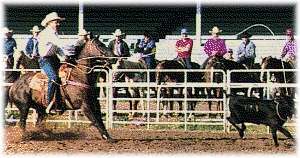 Ben Johnson Steer Roping Contest