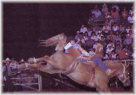 Sallisaw IPRA Rodeo