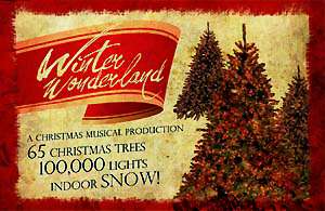 Winter Wonderland Christmas Celebration