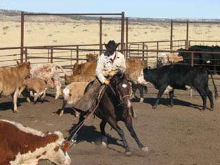 Caprock Roundup Rodeo and Old Settlers Reunion