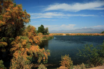 Roper Lake, Arizona