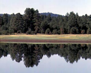 Mormon Lake, Arizona