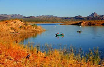 Alamo Lake, Arizona