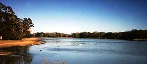 Lake Texana, Texas