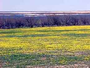 O.C. Fisher Lake, Texas