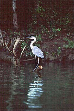 Cane Creek State Park