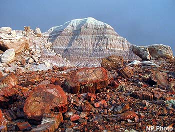 Petrified Forest National Park