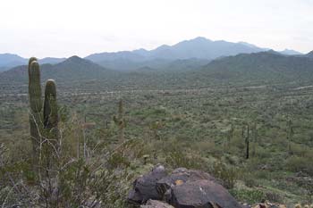 Estrella Mountain Regional Park, Arizona