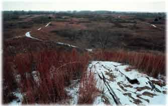 Sand Hills State Park