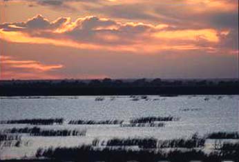 Cheyenne Bottoms Wildlife Area