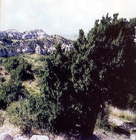 Wildcat Hills SRA, Nebraska