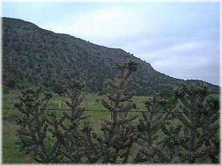 Black Mesa State Park, Oklahoma