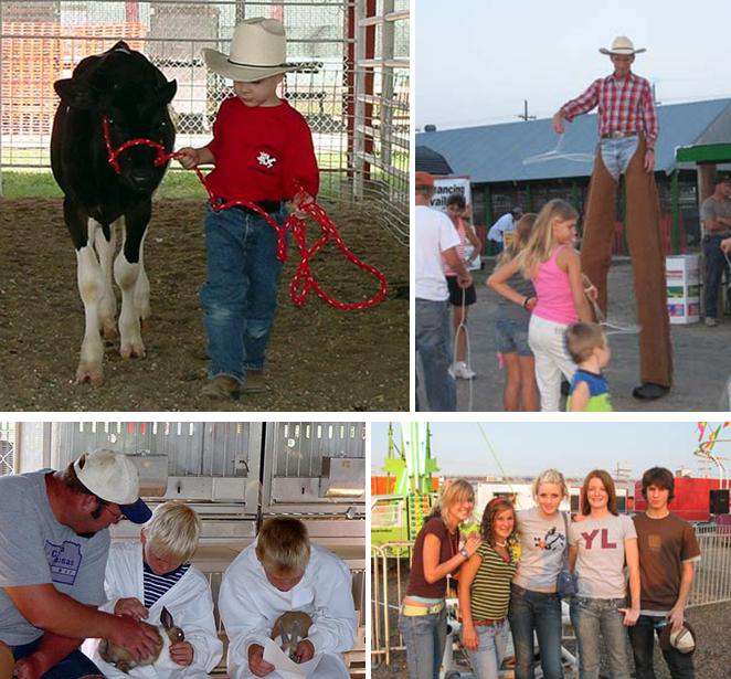 Ellis County Fair