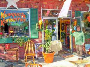 Kumquat Kuriosities & Antiques - Dade City, FL