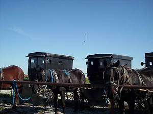 Jamesport  Amish Tours - Jamesport, MO