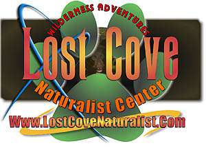 Lost Cove Naturalist - Linville, NC